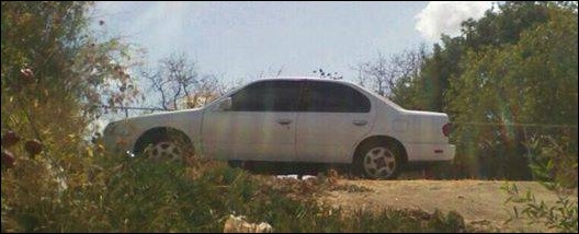 Why is this car hiding in the forest?